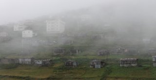 Varda Yaylasında Kaçak Yapılaşmanın Önüne Geçiliyor