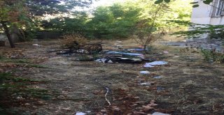 Mahalle Halkı Çevre Kirliliğinden Şikayetçi