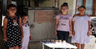 Miniklerden Sokak Hayvanları İçin Anlamlı Proje