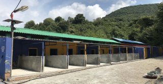 Sokak Hayvanları Rehabilitasyon Ve Bakım Merkezi Yenileniyor