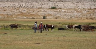 Kayseride İki Mahalle Karantinaya Alındı