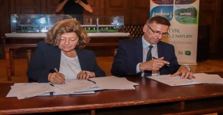 Türkiyenin İlk Tramvay İhracatı Polonyaya