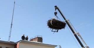 Sağlık Merkezindeki 54 Yıllık Leylek Yuvası Vinçle Taşındı