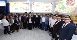 Gto Ab Bilgi Merkezinin Gastronomi Festivalinde Açtığı Stant Yoğun İlgi Görüyor