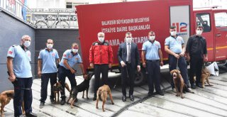 BÜYÜKŞEHİR İTFAİYESİ ALTI KÖPEKLE TAKVİYE EDİLDİ