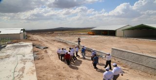 İlçelere Ekonomik Destek İçin Örnek Proje