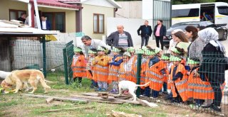 200 Anaokulu Öğrencisi Can Dostları İle Buluştu