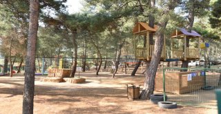 Bursada Adrenalin Tutkunları Maceraya Doyacak