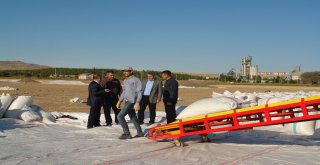 Tarım Ve Orman İl Müdürü Yıldız Ayçiçeği Hasadına Katıldı