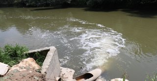 (Özel) Osbnin Atık Suları İle Kirlenen Sakarya Nehri Havadan Görüntülendi
