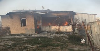 Domaniçteki Yangında 1 Ev, 1 Samanlık Ve 1 Ahır Kül Oldu