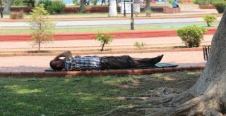Hatayda Sıcaklar Sahillerin Boşalmasına Neden Oldu
