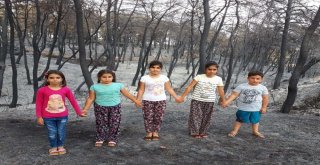 Antalyalı Çiftçiden Tarım Bakanına ‘Yangın‘ Mektubu