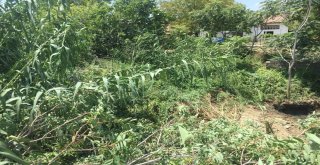 Maski 3 İlçede 31 İçme Suyu Deposunu Daha Yeniliyor