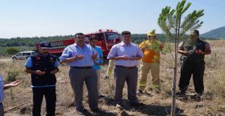 Kırkağaçta 15 Temmuz Şehitleri Hatıra Ormanı Oluşturuldu