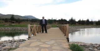 Üniversitenin Saklı İncisi Arboretum Park Göleti