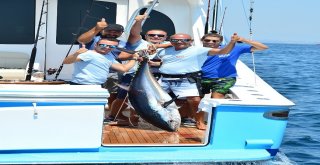 Ünlü İş Adamlarının Katıldığı Balık Turnuvasında 118 Kiloluk Orkinos Tutuldu
