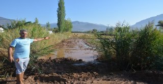 Sel Sonrası Seralara Giren Üreticileri Gördükleri Manzara Üzdü