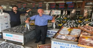 Tezgahlardaki Hamsi Bolluğu Yüzleri Güldürdü