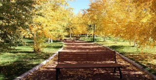 Ata Botanik Park, Hazan Mevsiminde İlgi Odağı
