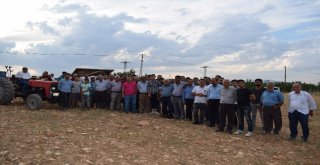 Mahalleliden Çimento Fabrikası Kurulmasına Tepki