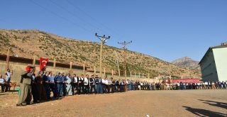 Aşiretler Tlye Sahip Çıktı