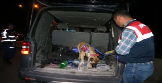 Jandarmadan Bayram Öncesi Trafik Denetimi