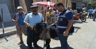 Besnide Polis Vatandaşları Dolandırıcılığa Karşı Uyardı