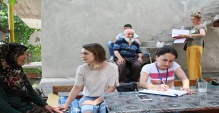 Hanelere Misafir Olmaya Devam Ediyorlar