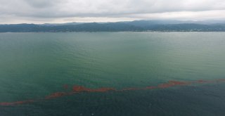 Karadeniz Adeta İkiye Bölündü