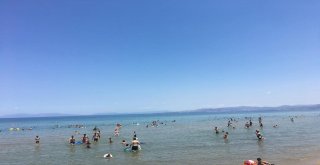Milli Parka Ziyaretçi Akını