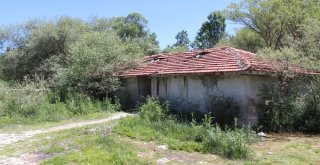 (Özel) Osmanlı Mirası Tarihi Hamam Kaderine Terk Edildi