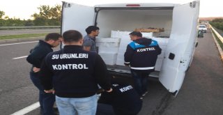 Orduda Küçük Boy Balıklara Sıkı Denetim