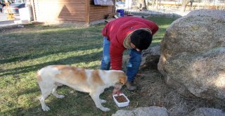 Sokaktaki Can Dostlar Unutulmadı