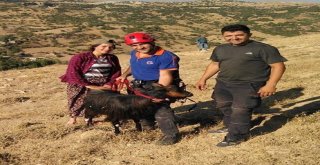 Uçurumda 4 Gün Mahsur Kalan Keçi Kurtarıldı