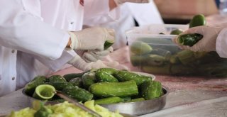 Gastronomi Kenti Hatayda Dolmalık Ve Turşuluk Salatalıklar Kışa Hazırlanıyor