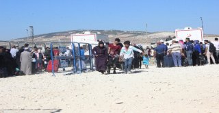 22 Bin Suriyeli Bayrama Gitti