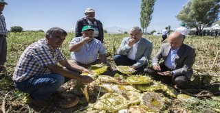 Tarım Ve Hayvancılığa Desteklerimiz Sürecek