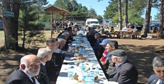 Araçta Gaziler, Piknikte Bir Araya Geldi