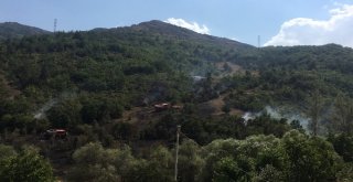 Gümüşhanede Örtü Yangını