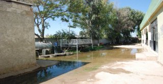 Yazın Ortasında Kışı Yaşıyorlar