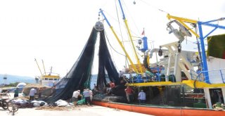 Ordulu Balıkçılar Yeni Sezona Tam Gaz Hazırlanıyor