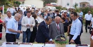Trakya Bağ Bozumu Ve Ekoloji Festivali Başladı