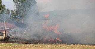 Ahır Ve Depo Olarak Kullanılan Baraka Küle Döndü