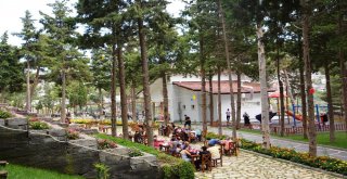 Belende Göçmen Kuşların Geçiş Güzergahına Kuş Gözlem Merkezi