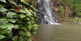 Çağlayandibi Şelalesi İlgi Çekiyor