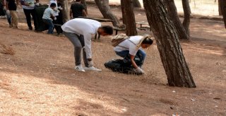 Karacebeyde Gençler Çevre Temizliği Yaptı