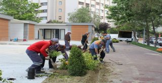 Beylikdüzünde Parklar Yenileniyor