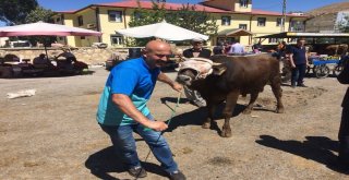 Bayburtta Hayvan Pazarında Kurban Hareketliliği