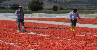 İzmir Ovaları Kırmızıya Büründü